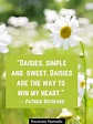 Perfect Daisy Quotes: 115 Daisy Sayings for 2023 | Routinely Nomadic