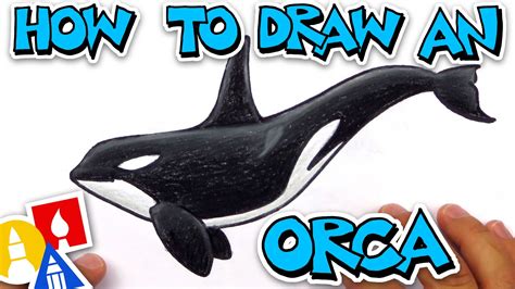 How To Draw A Realistic Orca Art For Kids Hub