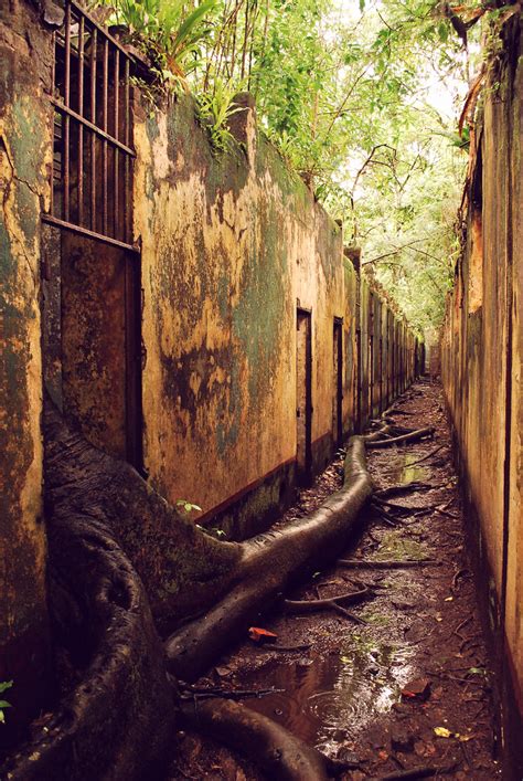 The Abandoned French Penal Colony From 1852 Known As Devils Island