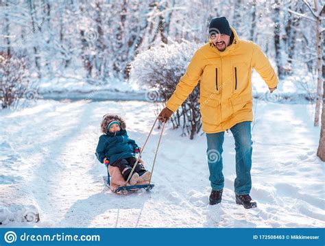 Winter Walk Father Pulling Sledge With Toddler Son In Snowy Day Dad