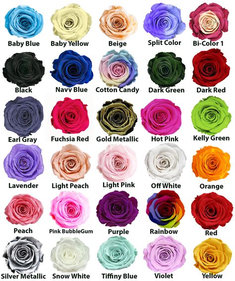 Rose Colors