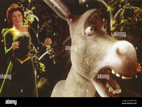 Fiona Shrek Shrek 2001 Donkey Shrek Images And Photos Finder