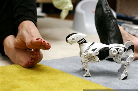 Photo Robopet And Grandmas Feet Mg 7871 By Seandreilinger