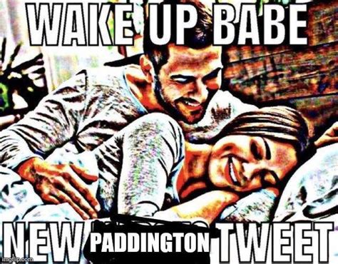 Wake Up Babe New Paddington Tweet Wake Up Babe Know Your Meme