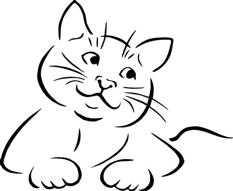 Zwierzę Kot Rysunek Darmowa Grafika Wektorowa Na Pixabay Pixabay
