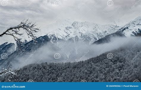 Winter Mountain Landscape Snow Covered Landscape And Evergreens