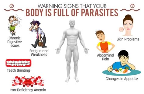 10 Warning Signs That Your Body May Be Full Of Parasites