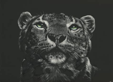 Big Cats Snow Leopards Painting Art Head Black And White Black
