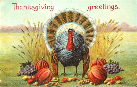 antique images free vintage thanksgiving graphic vintage thanksgiving postcard with wild