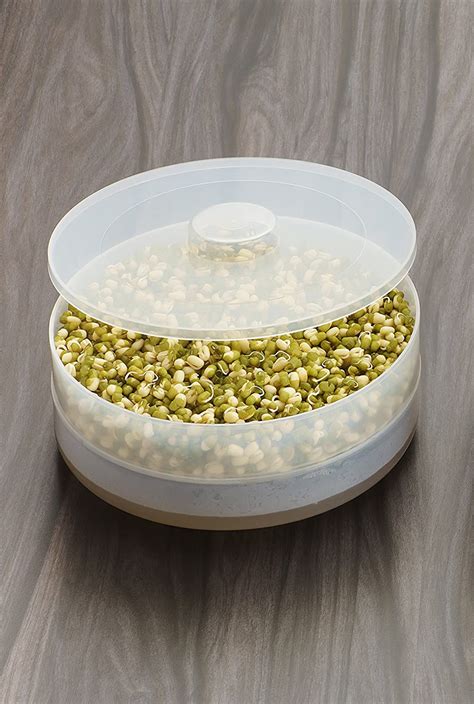 Buy Anjali Sm03 Plastic Sprout Container 1 Container White Online At