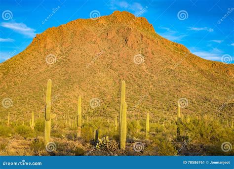 Arizona Desert Landscapes Stock Image Image Of Interesting 78586761