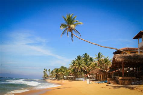 Sandy Beaches Of Sri Lanka Sri Lanka Holiday Guide Your Guide To Sri