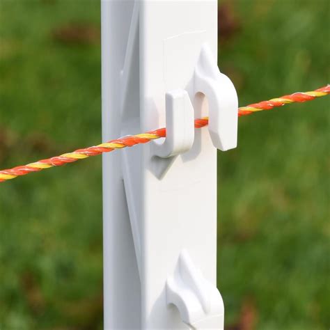 Electric Dog Fence Safety For Small Medium And Large Dogs