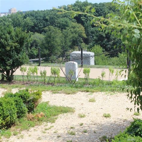 The Graves Of Robert E Lees Garden Arlington Virginia Atlas Obscura