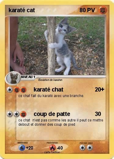 Ninja cats there s absolutely nothing more funny impossible try not to laugh compilation. Pokémon karate cat 17 17 - karaté chat - Ma carte Pokémon