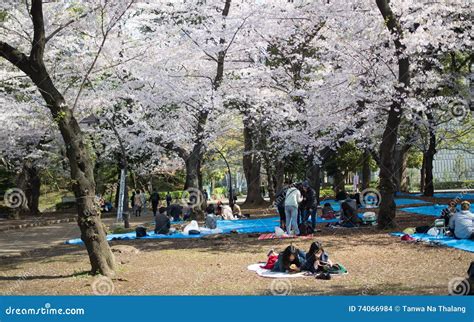 Ueno Park Tokyo Japan Editorial Stock Image Image Of Japan 74066984