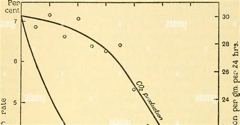 17 Diagram Of Seed Germination Enriquecora