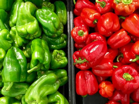 How To Start Pepper Farming In Nigeria Or Africa Complete Guide
