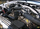 5.8 Liter OHV 16-Valve V8 Engine for the 1996 Ford F150 #41225399 ...