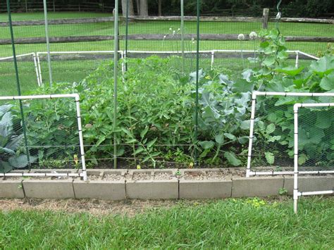 However, it is important to remember that your chicken wire fence will only be as strong as your supports. One Hoosier's View: How to build a garden