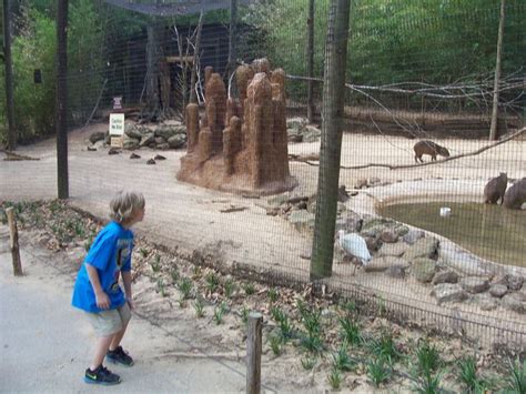 Mixed Species Exhibit At Caldwell Zoo Tyler Tx Aviaries Habitat