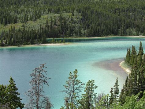 Emerald Lake Carcross Yukon Canada Visit Canada Places To Visit