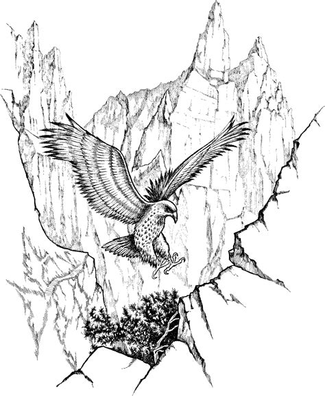 Free Eagle Coloring Pages