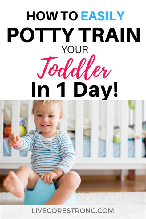 Potty Training How To Easily Potty Train Your Toddler In 1 Day Potty