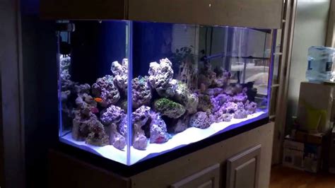 90 Gallon Reef Aquarium Youtube