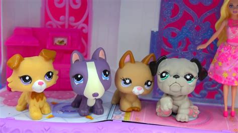 Littlest Pet Shop Cutest Pets Bobbleheads Lps Surprise Blind Bag Box