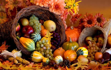 Nov 18 2016 Usm Promise Agep Fall Harvest Dinner