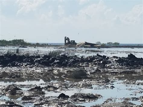 Cwppra Is Still Having A Big Impact Restore The Mississippi River Delta