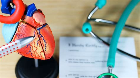 2 Symptoms Of A Leaking Heart Valve Heart Disease Youtube