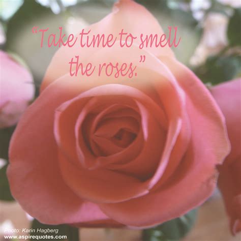 Do You Take Time To Smell The Roses Aspire Quotes