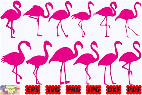 Flamingo Svg Design Bundles