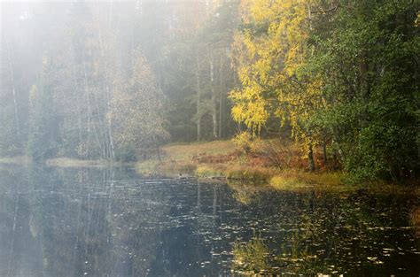 Autumn River Scene In Strong Fog Royalty Free Stock Image Storyblocks