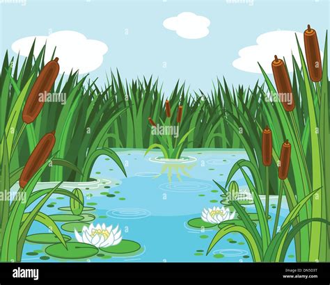 Pond Scene Stock Vector Images Alamy