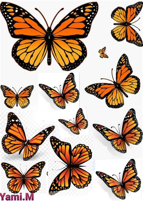Pin By Lara Pereira On Plantillas Butterfly Drawing Monarch