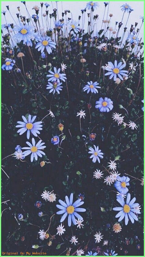 Wallpaper Iphone Aesthetic F L O W E R S Aesthetic Blue