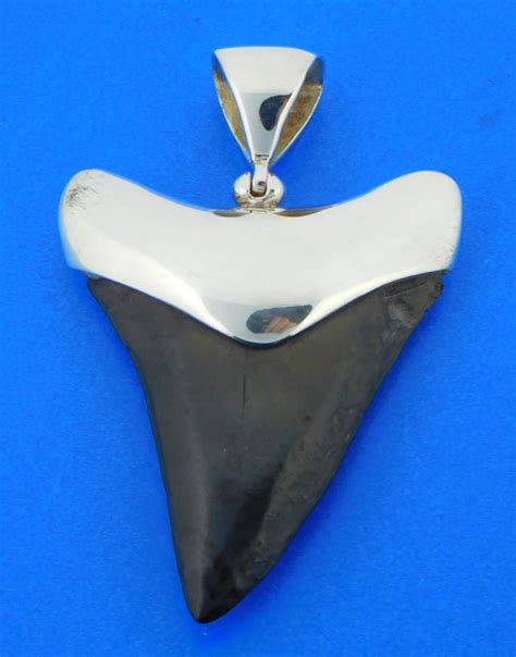 Fossil Shark Tooth Pendant Sterling Silver Island Sun Jewelry Beach