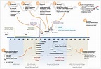 Infographic - Timeline of the New Testament Books | New testament books ...