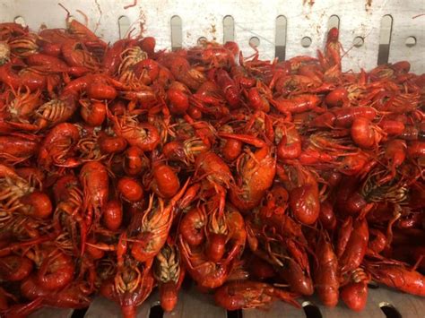 Best Boiled Crawfish In Baton Rouge