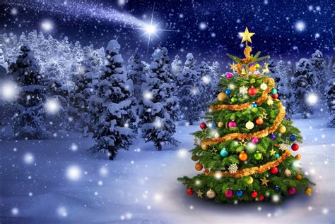 Download Winter Christmas Tree And Shooting Star Wallpaper