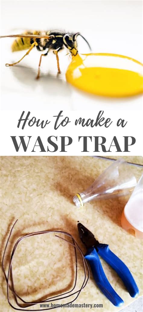 How To Get Rid Of Wasps Easy Wasp Trap Diy Homemade Mastery