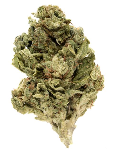 The 7 Best Indica Strains