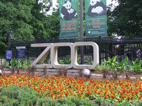 Visiting The National Zoo In Washington Dc