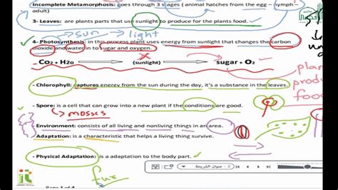GRADE 4 SCIENCE WORKSHEET UNIT - YouTube