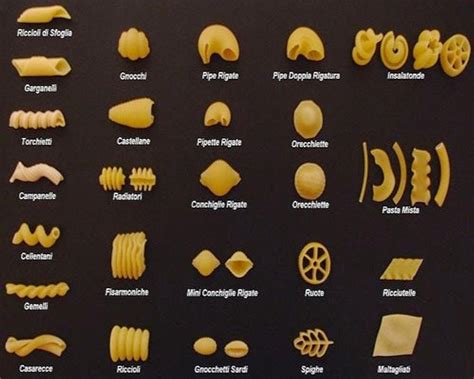To help you stock your pantry with all the essentials, we've come up with the 11 types of noodles you should always keep on hand to be ready for. images of different types of pasta | Casa Lassa: Different ...