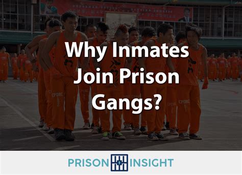 Why Inmates Join Prison Gangs Prison Insight