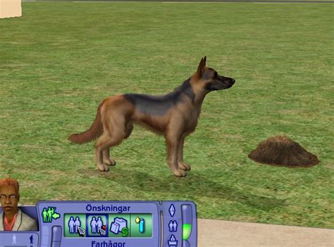 Mod The Sims German Shepherd More Realistic